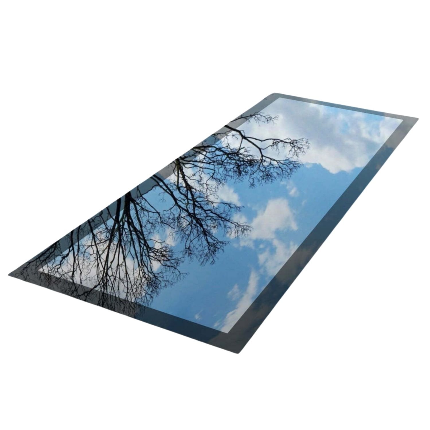 Fenêtre de toit plat 100 x 300 cm