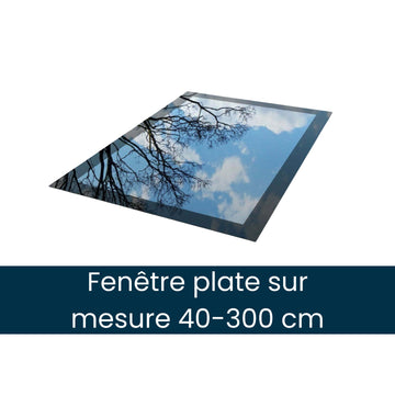 Fenêtres de toit sur mesure