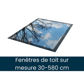 Fenêtres de toit sur mesure (Taille Surdimensionnnée)